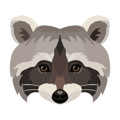 Vector cute raccoon face wild animal portrait zoo icon print