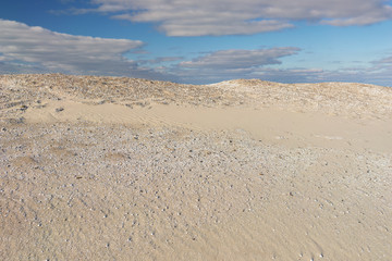 Sea shells with sand dunes