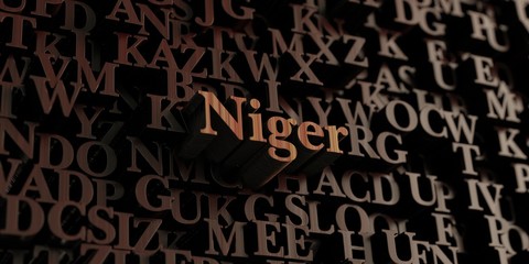 Niger - Wooden 3D rendered letters/message.  Can be used for an online banner ad or a print postcard.