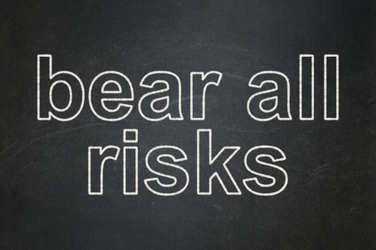 Insurance concept: Bear All Risks on chalkboard background