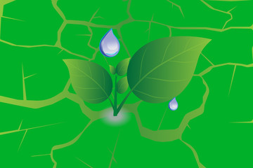 water drop on green leaf ground texture, vector EPS 10.