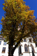 Rathaus St. Johann Saarbrücken
