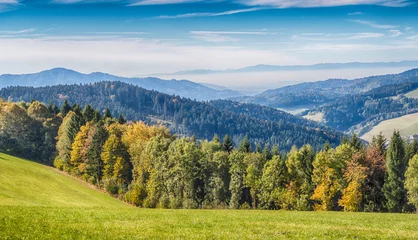 Fototapete Hügel Schwarzwaldpanorama HDR