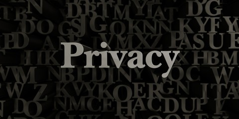 Privacy - Stock image of 3D rendered metallic typeset headline illustration.  Can be used for an online banner ad or a print postcard.