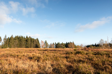 Nationalpark Schwarzwald