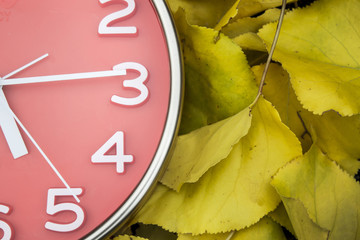 clock on leaves background