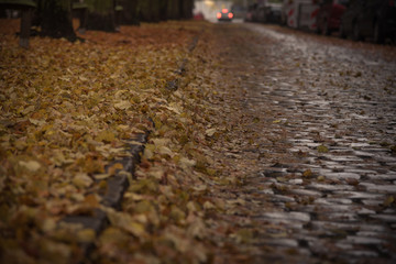 Herbstwetter auf der Straße