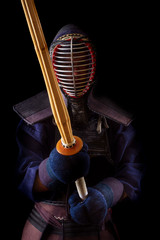 Kendo Warrior