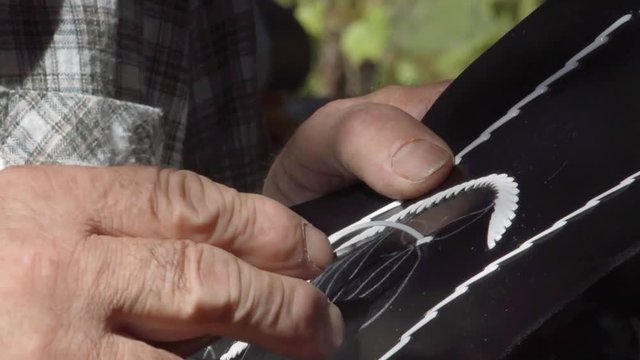 Federkielsticken in den Kitzb&uuml;heler Alpen
