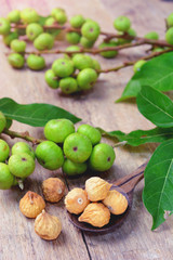 dried figs and fresh fruit on a wooden table. (ficus carica, ficus racemosa, ficus glomerata)
