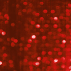 Red Festive Christmas background.