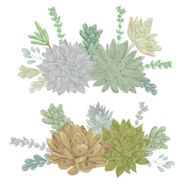 Succulents set. Collection decorative floral design elements for wedding invitations and birthday cards. Isolated elements. Vintage hand drawn vector illustration in watercolor style.