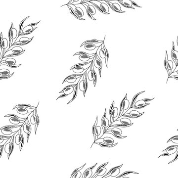 Olive branch with berry and leaf diet plant superfood ingredient. Natural organic hand drawn vector sketch illustration. Isolated on white background. Olive black, green, oil. Seamless pattern