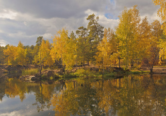 Fototapeta na wymiar Autumn trees in Park on the shore of the pond.