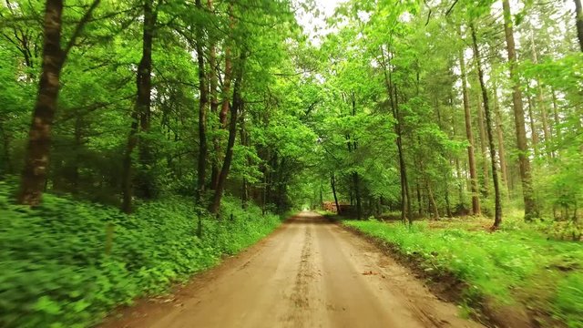Biking in a beautiful country road in the forest