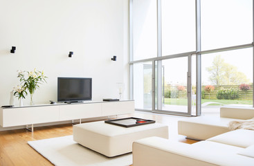 modern living room design with sofa