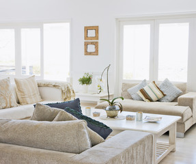 modern living room design with sofa