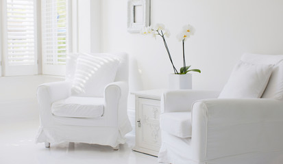 modern living room design with sofa