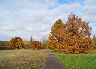 Beautiful autumn landscape - great autumn trees - autumn alley
