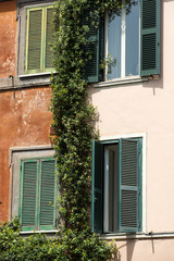 Fototapeta na wymiar Colorful houses in Trastevere, a typical roman neighbourhood. Rome, Italy