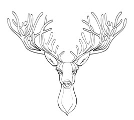 deer head. Beautiful horns. speaking look. Vector illustration