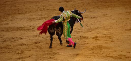 the bloody bullfighting