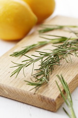 ローズマリー　Rosemary