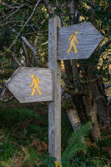 Hiking trail direction signs in the forest