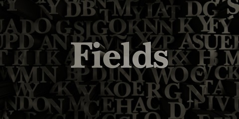 Fields - Stock image of 3D rendered metallic typeset headline illustration.  Can be used for an online banner ad or a print postcard.