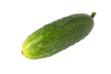 Fresh cucumber.
