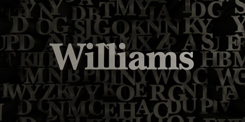 Williams - Stock image of 3D rendered metallic typeset headline illustration.  Can be used for an online banner ad or a print postcard.
