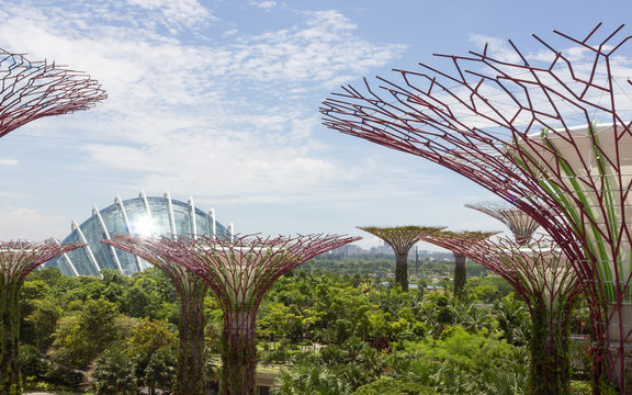 Gardens by the bay in Singapore