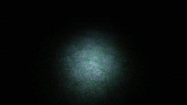 Night searcher in the dark field