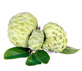 Custard apple fruit on white background