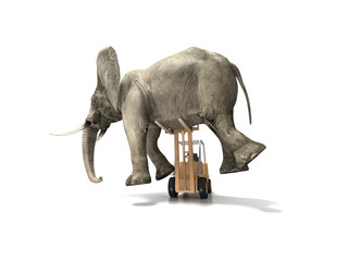 Transportation of weights