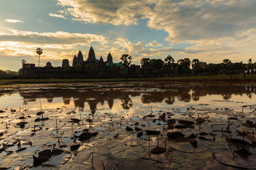 Ankor wat