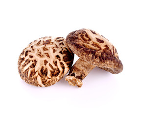 Obraz premium Dried mushroom isolated on white background