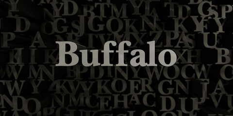 Buffalo - Stock image of 3D rendered metallic typeset headline illustration.  Can be used for an online banner ad or a print postcard.
