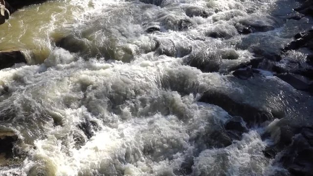 Prut river in the Carpathian Mountains