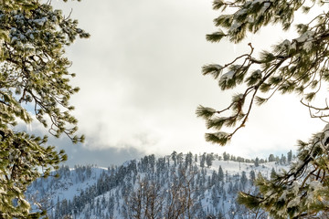 Mountain View, El Niño winter at Southern California, Big Bear