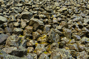 Rocks with lichens and moss