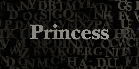 Princess - Stock image of 3D rendered metallic typeset headline illustration.  Can be used for an online banner ad or a print postcard.