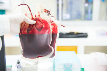 Red blood bag in hand scientist over white background in laborat