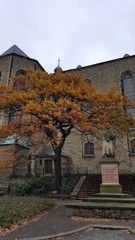 Beautiful unique landscape and life of Ore Mountains in Saxony Germany