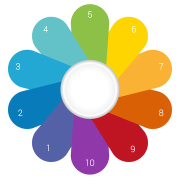 Camomile infographic template colourful petals 10 positions