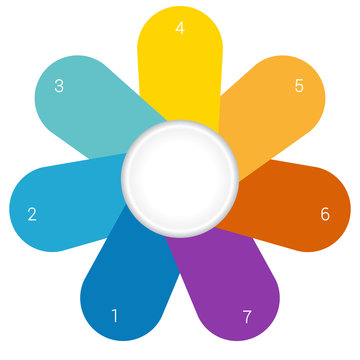 Camomile infographic template colourful petals 7 positions