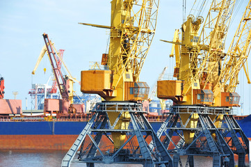 Bulk cargo ship under port crane
