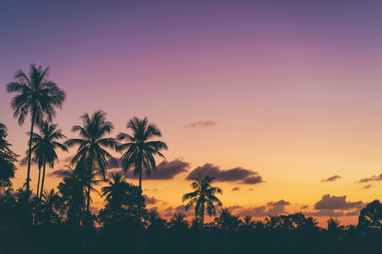 Beautiful tropical sunset with silhoette of palm trees.