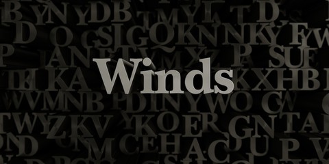 Winds - Stock image of 3D rendered metallic typeset headline illustration.  Can be used for an online banner ad or a print postcard.