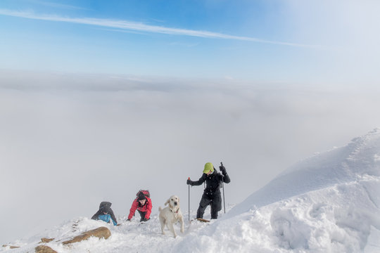 Winter Trekking in Carpathian Mountains